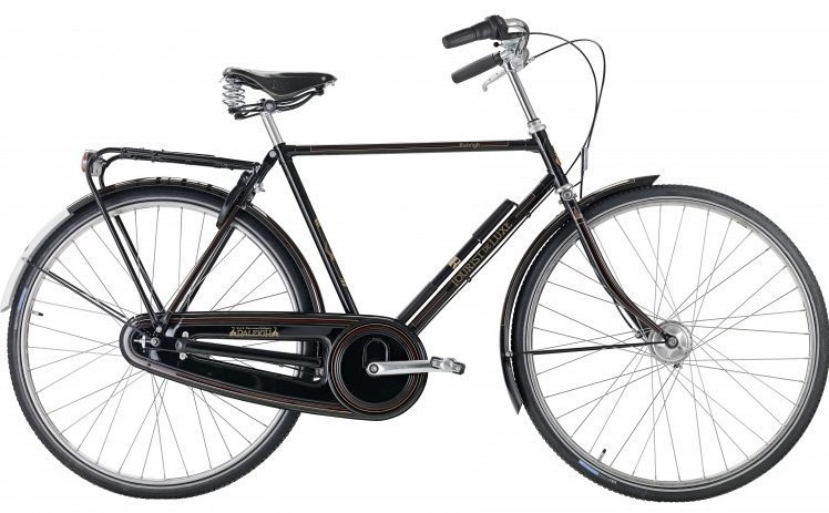 Raleigh Raleigh Tourist De Luxe Herre 3G 2020 Cykler > Herrecykler